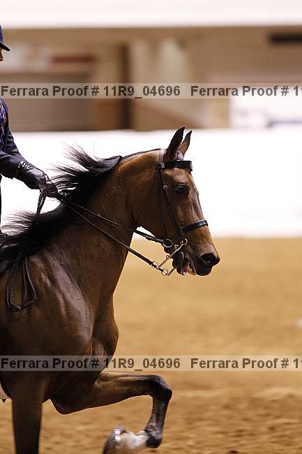 Proof 11r9_04696