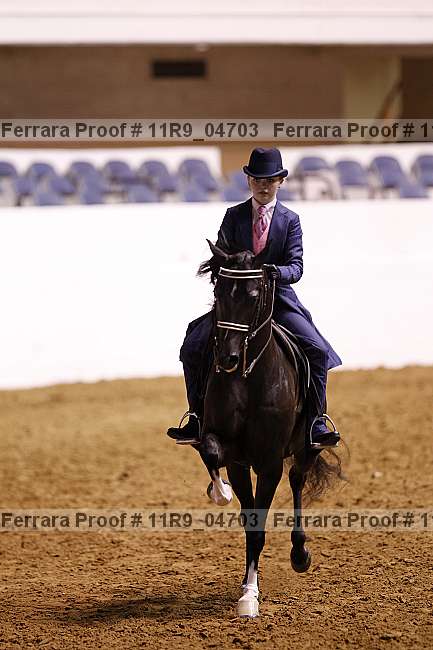 Proof 11r9_04703