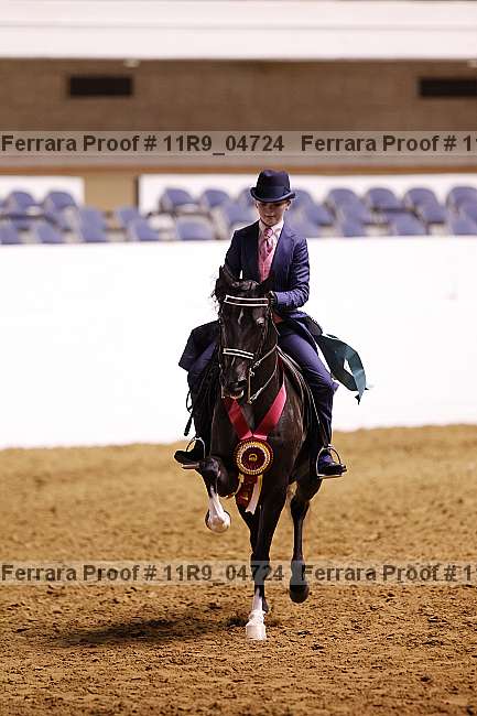 Proof 11r9_04724