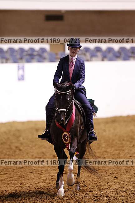 Proof 11r9_04725