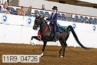 11r9_04726 proof