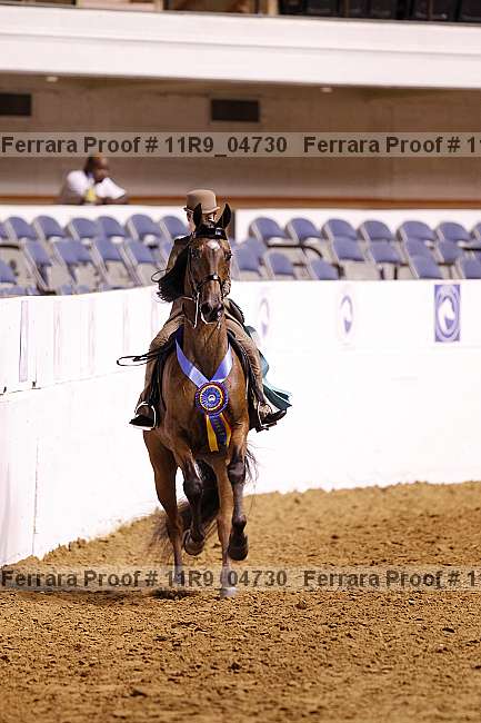 Proof 11r9_04730