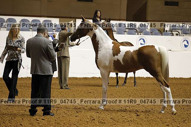 Proof 11r9_04745