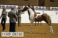 11r9_04745 proof