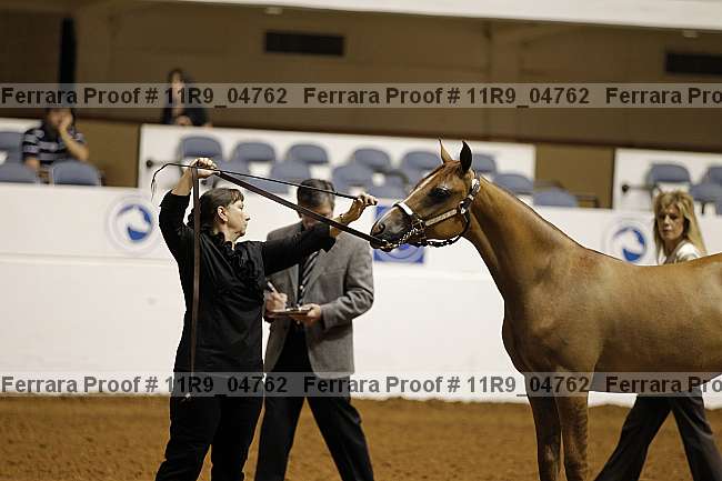Proof 11r9_04762