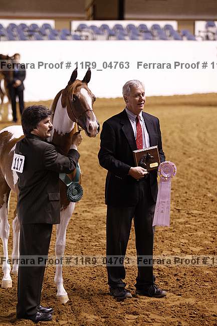 Proof 11r9_04763