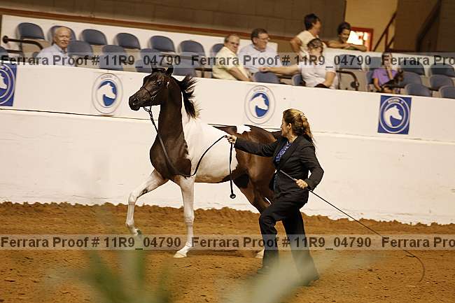 Proof 11r9_04790