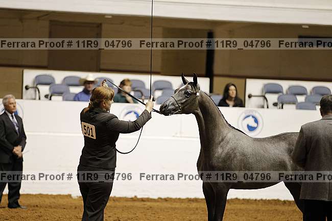 Proof 11r9_04796