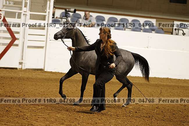 Proof 11r9_04798