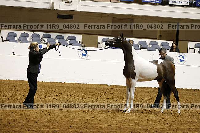 Proof 11r9_04802