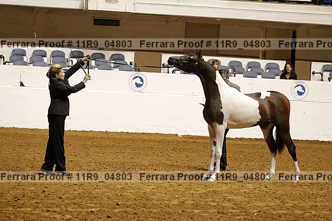 Proof 11r9_04803