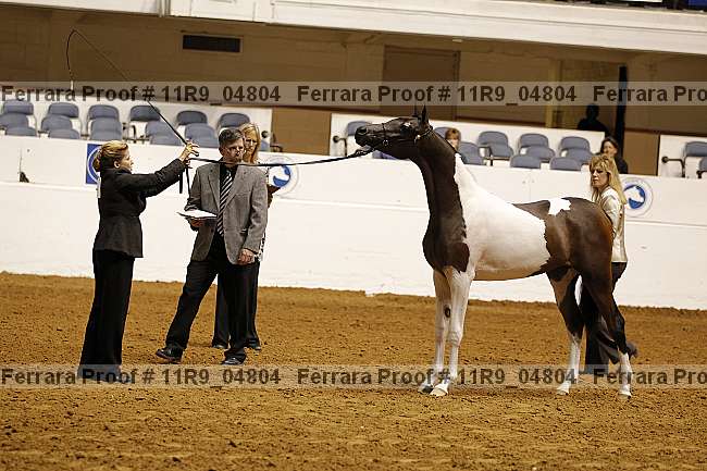 Proof 11r9_04804