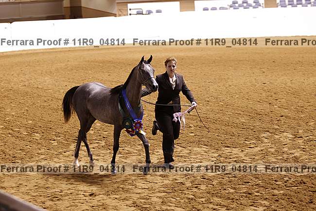 Proof 11r9_04814