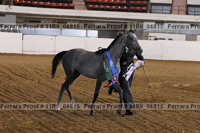 Proof 11r9_04815