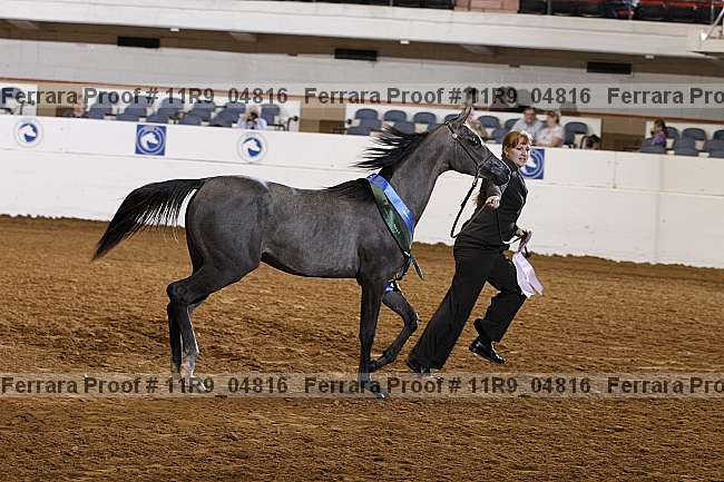 Proof 11r9_04816