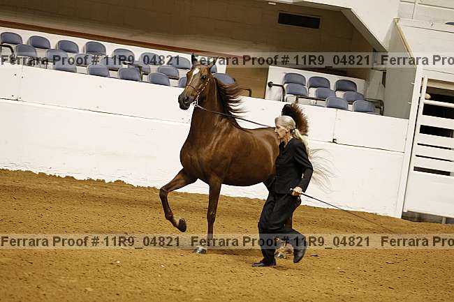 Proof 11r9_04821