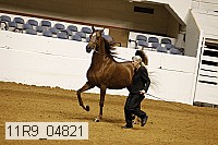 11r9_04821 proof