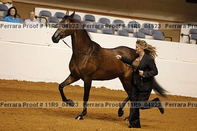 Proof 11r9_04823
