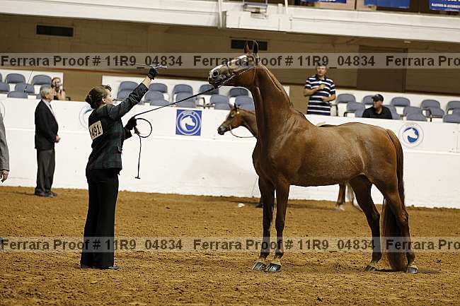 Proof 11r9_04834