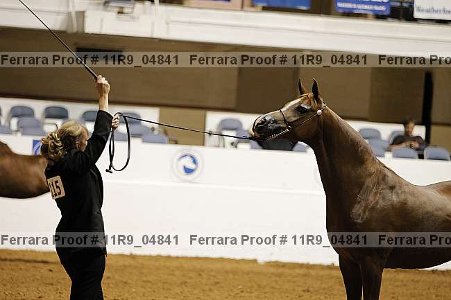 Proof 11r9_04841