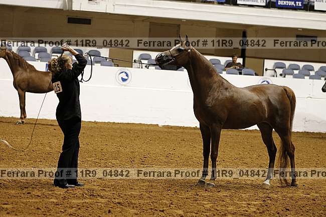 Proof 11r9_04842