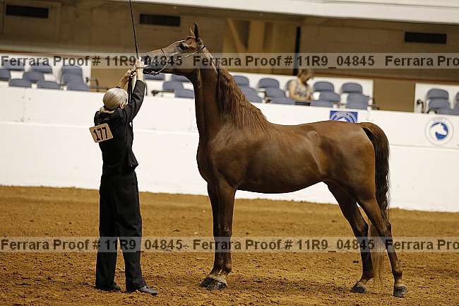 Proof 11r9_04845
