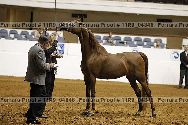 Proof 11r9_04846