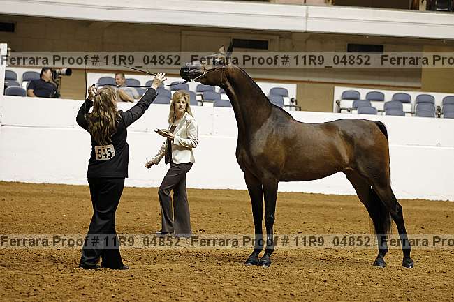 Proof 11r9_04852