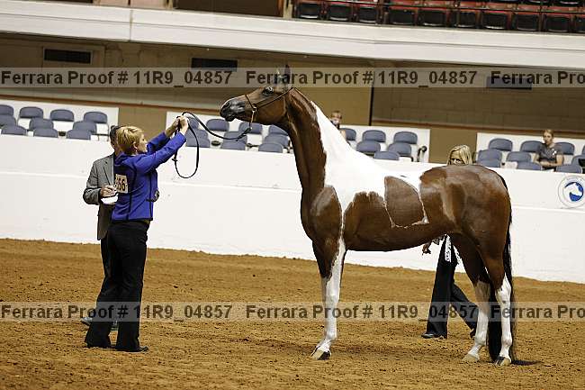 Proof 11r9_04857