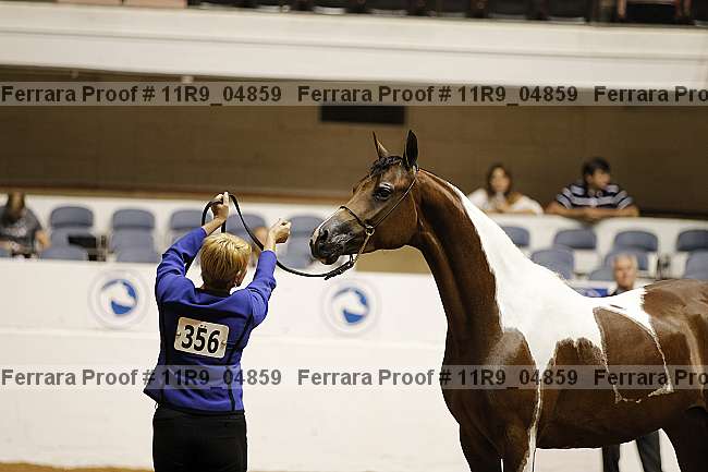 Proof 11r9_04859