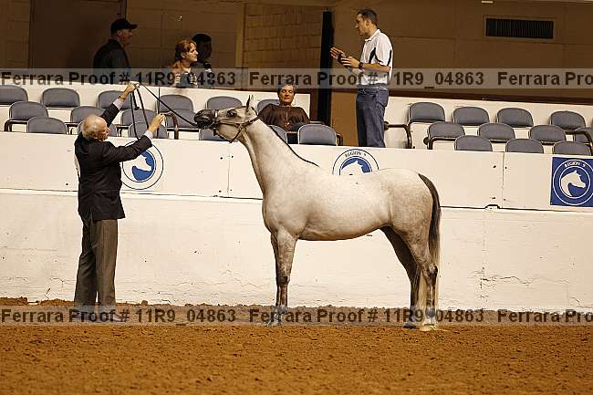 Proof 11r9_04863