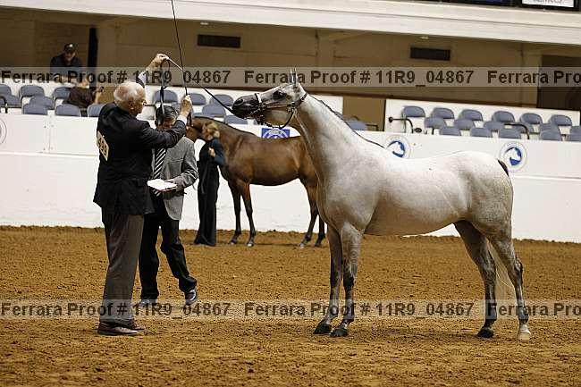 Proof 11r9_04867