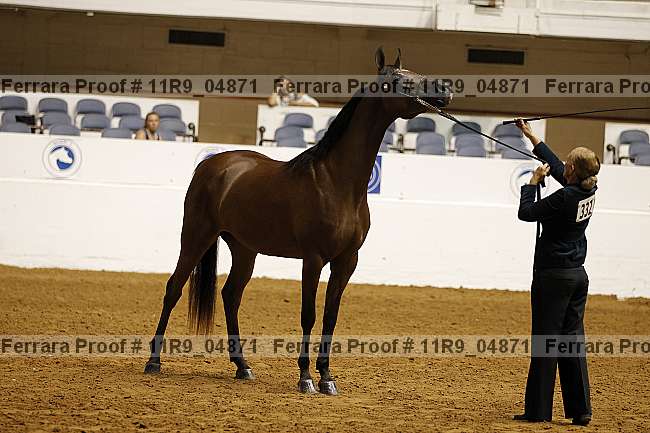 Proof 11r9_04871
