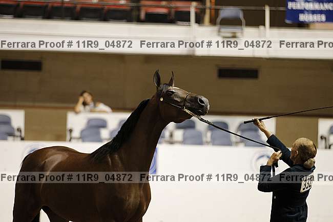 Proof 11r9_04872