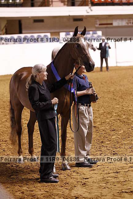 Proof 11r9_04886