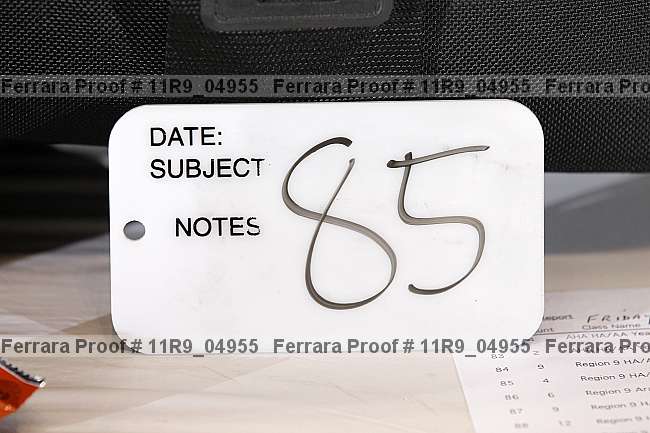Proof 11r9_04955