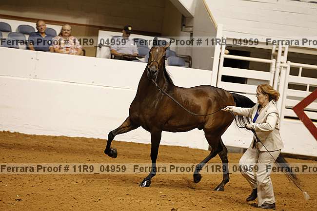 Proof 11r9_04959