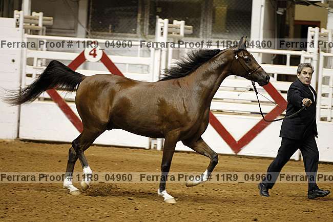 Proof 11r9_04960