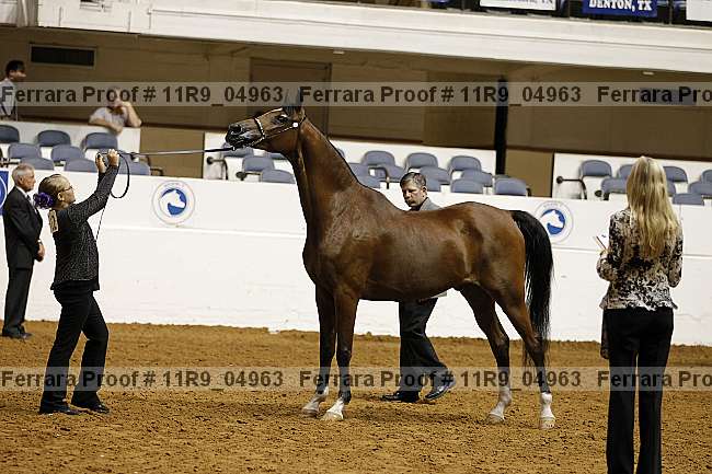 Proof 11r9_04963