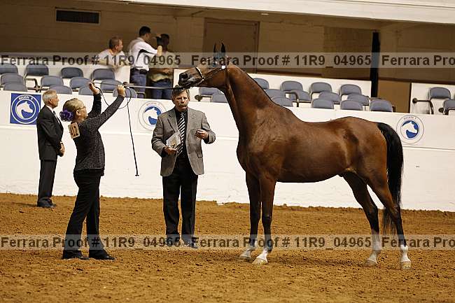 Proof 11r9_04965