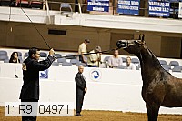 11r9_04971 proof