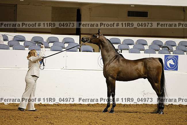 Proof 11r9_04973
