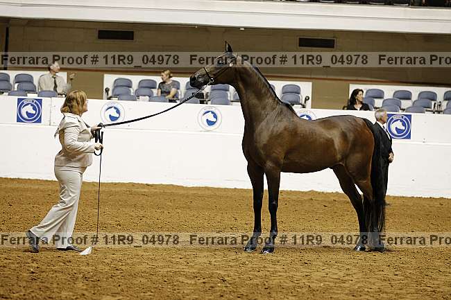 Proof 11r9_04978
