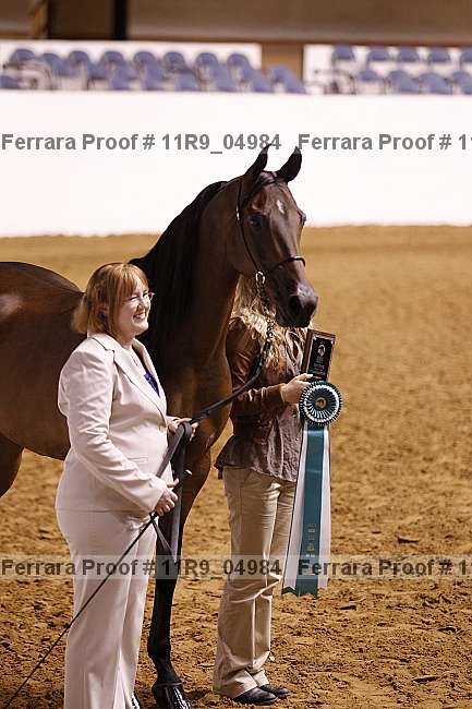 Proof 11r9_04984