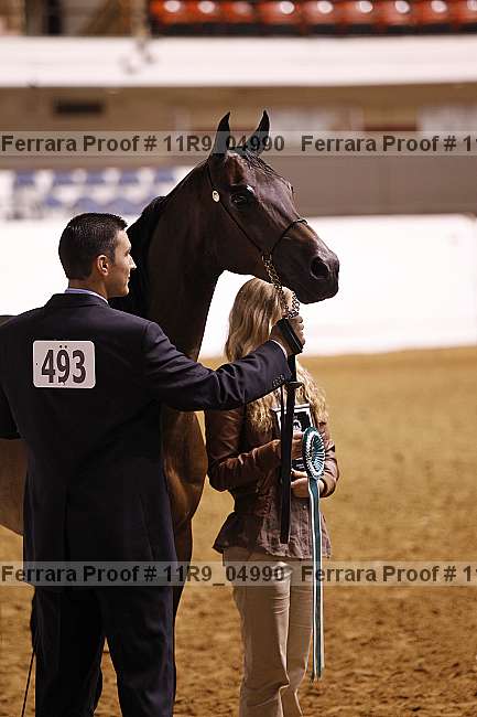 Proof 11r9_04990