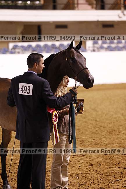 Proof 11r9_04993