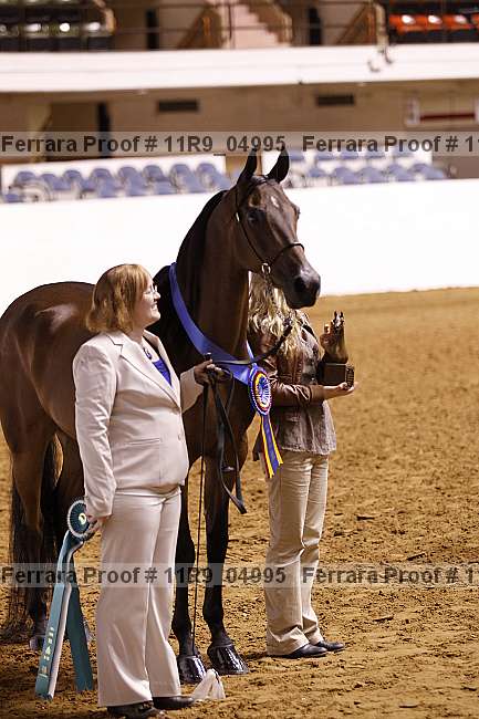 Proof 11r9_04995