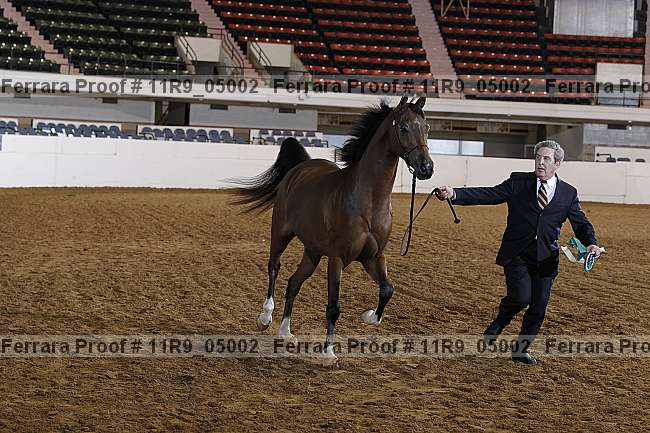 Proof 11r9_05002