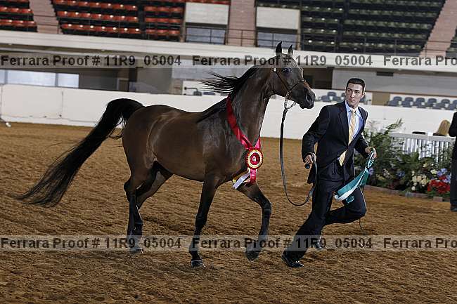 Proof 11r9_05004