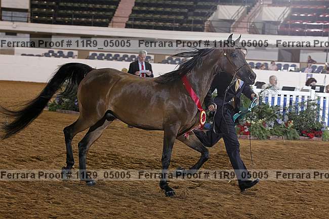 Proof 11r9_05005